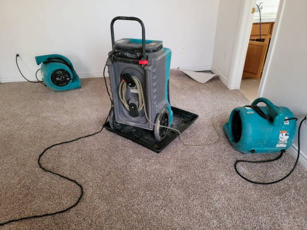 Best 24/7 water damage repair  in Bellville, TX