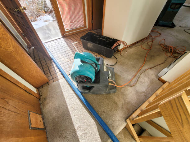 Best Flood restoration services  in Bellville, TX