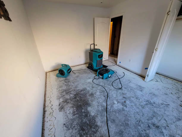 Best Water damage contractors near me  in Bellville, TX