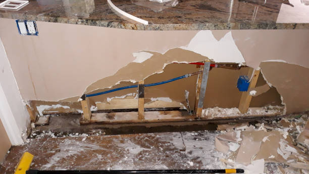 Best Water damage restoration mold remediation  in Bellville, TX