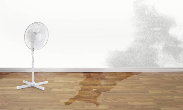 Best Flooded house restoration  in Bellville, TX