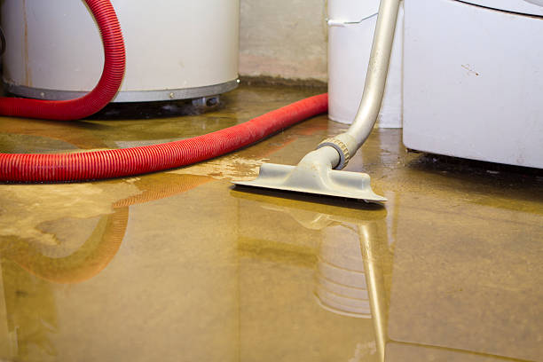 Best Basement water damage restoration  in Bellville, TX