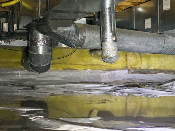 Best Mold removal after water damage  in Bellville, TX