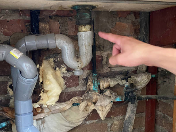 Best Water damage cleanup near me  in Bellville, TX