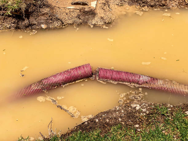 Reliable Bellville, TX Water damage restoration Solutions