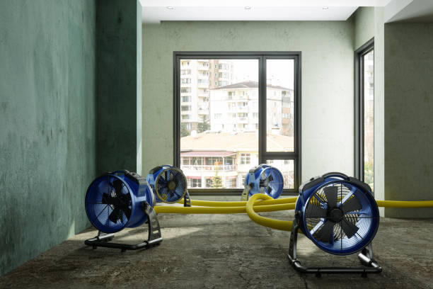 Best Fire Damage Restoration  in Bellville, TX